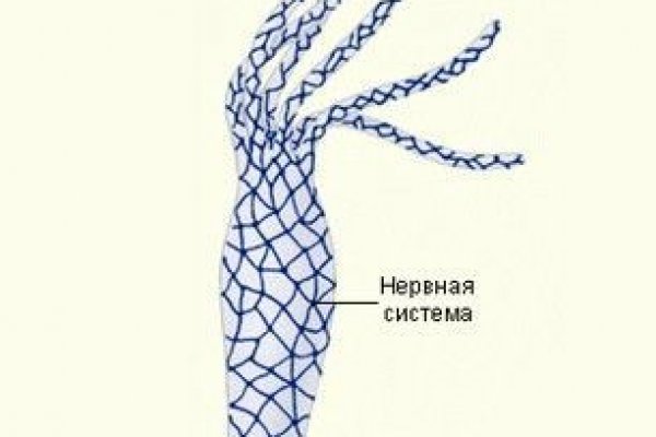 Не зачисляются деньги на кракен